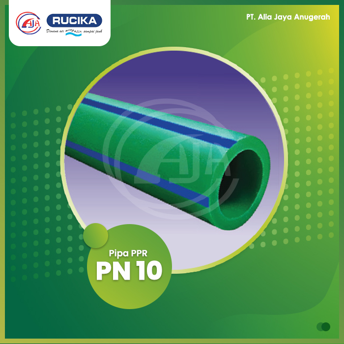PPR PN 10