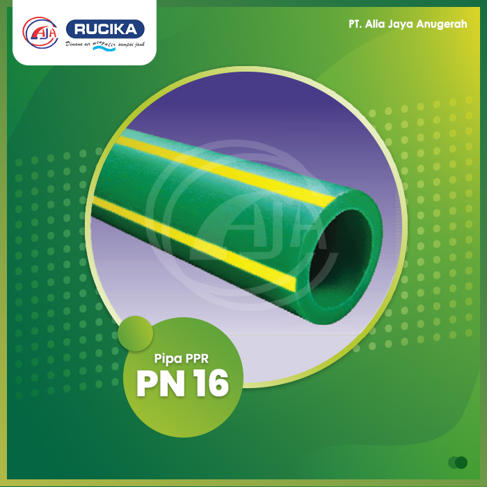 PPR PN 16